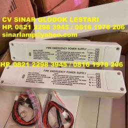 Fire Emergency Power Supply Kit LED D30W Battery 220V